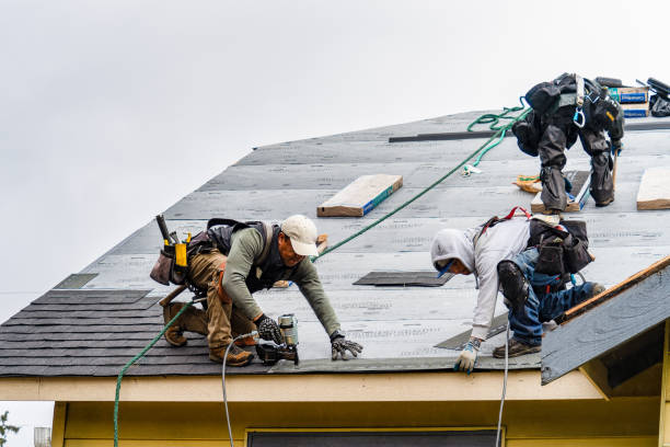 Professional Roofing technician working in Glasford, IL